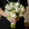 Hoa Tulip Kép